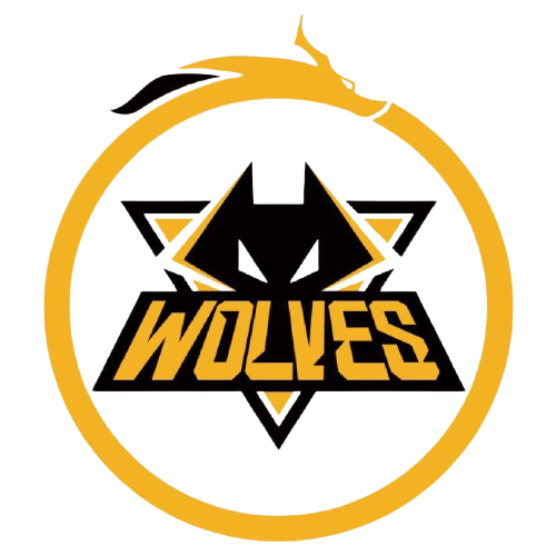 凭借机智的 凭借机智的