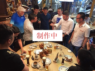 迷你中产或 迷你中产或
